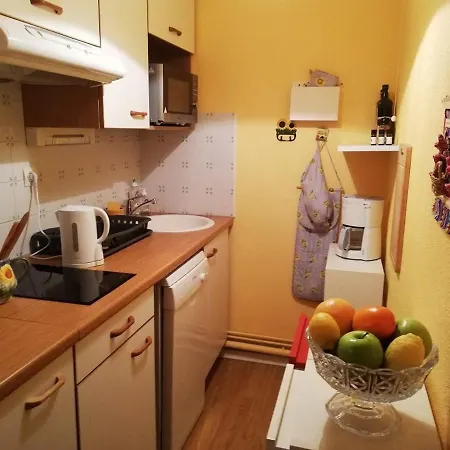 2 Pieces Avec Balcon, Parking, Animaux Admis, Wi-fi - Fr-1-313-195 * Bagneres-de-Luchon