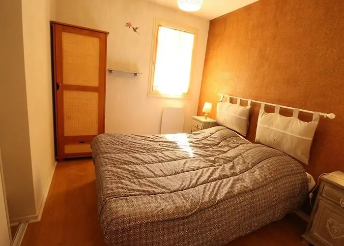 Apartment 2 Pieces Avec Balcon, Parking, Animaux Admis, Wi-fi - Fr-1-313-195 *