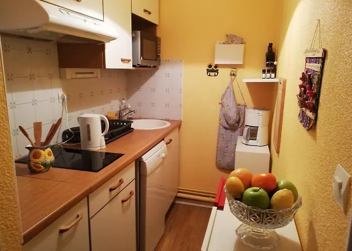 2 Pieces Avec Balcon, Parking, Animaux Admis, Wi-fi - Fr-1-313-195 * Bagnères-de-Luchon