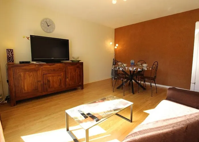 2 Pieces Avec Balcon, Parking, Animaux Admis, Wi-fi - Fr-1-313-195 * Bagnères-de-Luchon